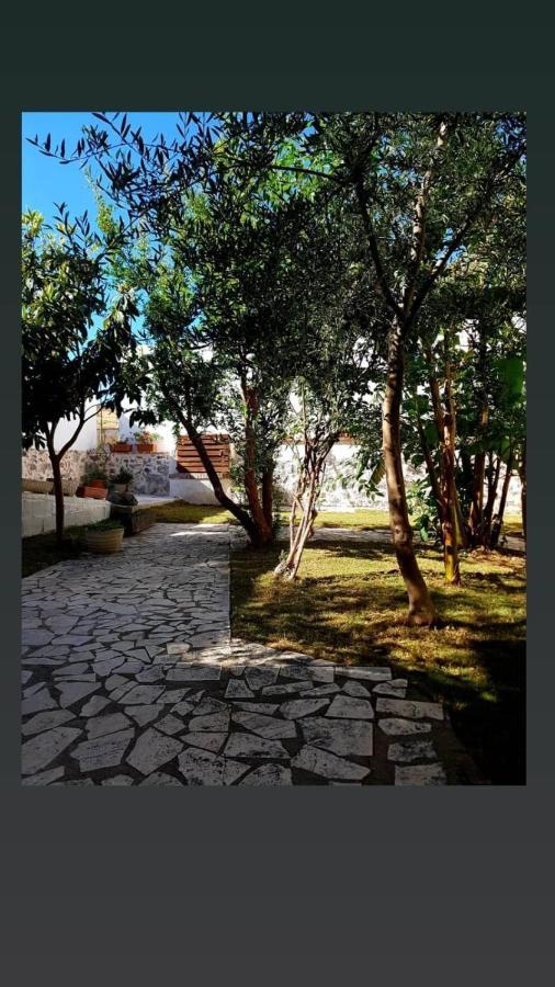 B&B Sa Domo De Sos Massaios Орозеи Екстериор снимка