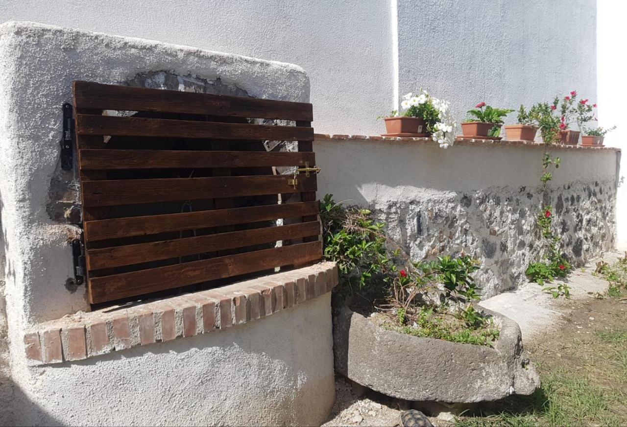 B&B Sa Domo De Sos Massaios Орозеи Екстериор снимка